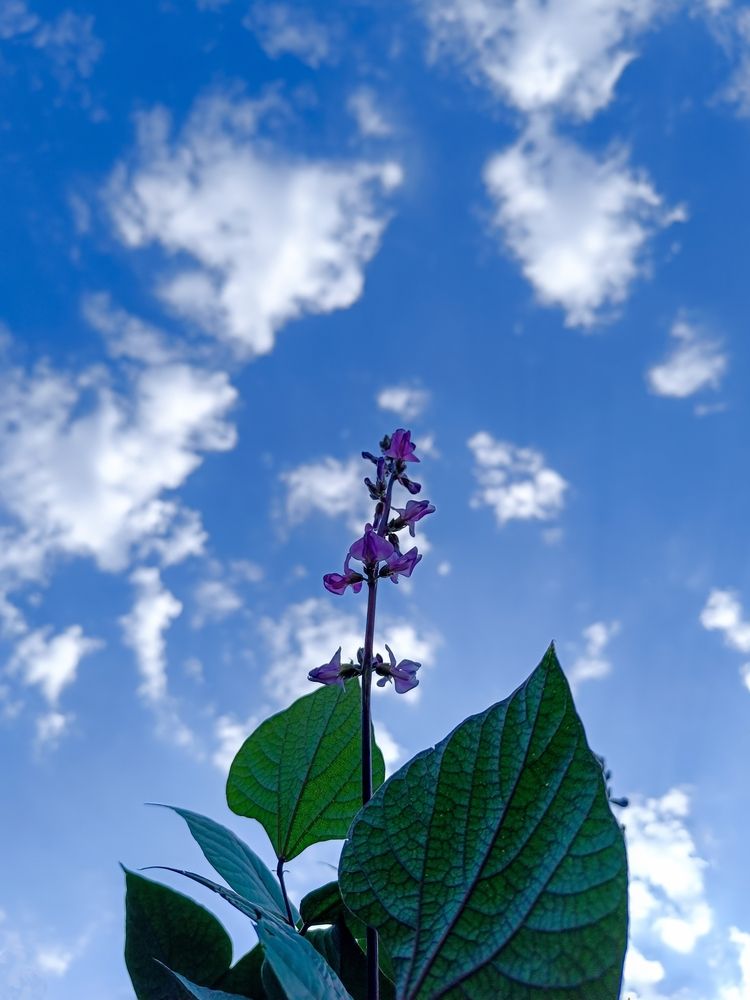 Фотография автора Владимир Ли