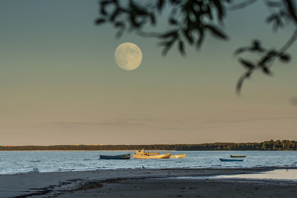 Photograph by Ivars Salmanis