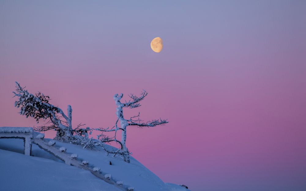 Photograph by Mika Mgla