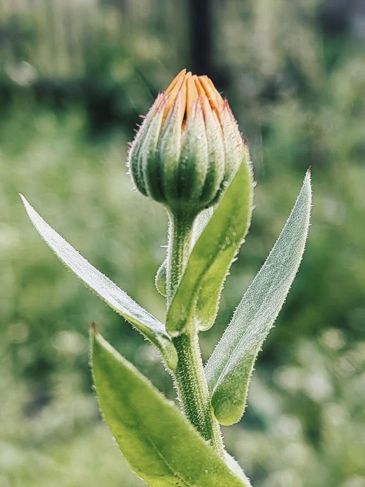 Photograph by Арина Черникова