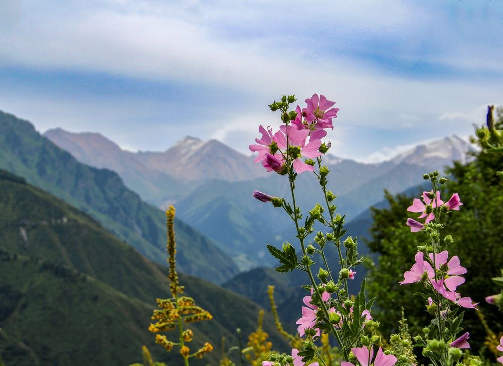 Фотография автора Владимир Ли