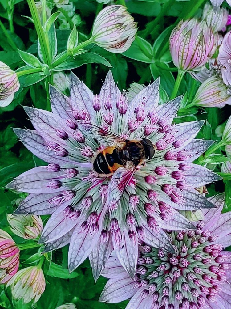 Photograph by Арина Черникова