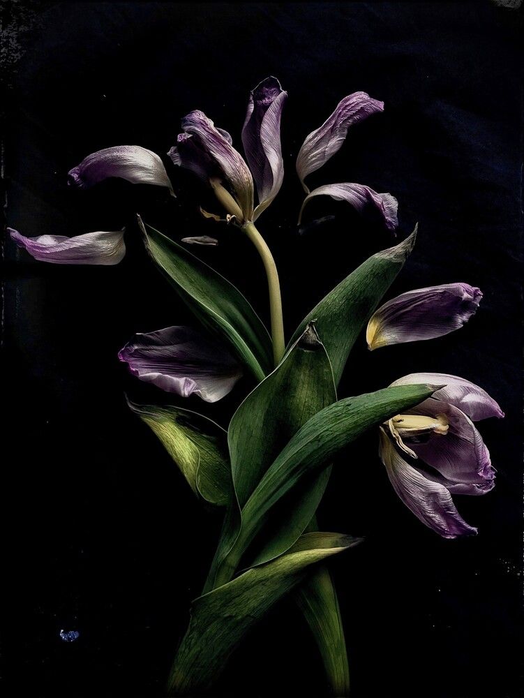 Photograph by Iuliia Akhulkova