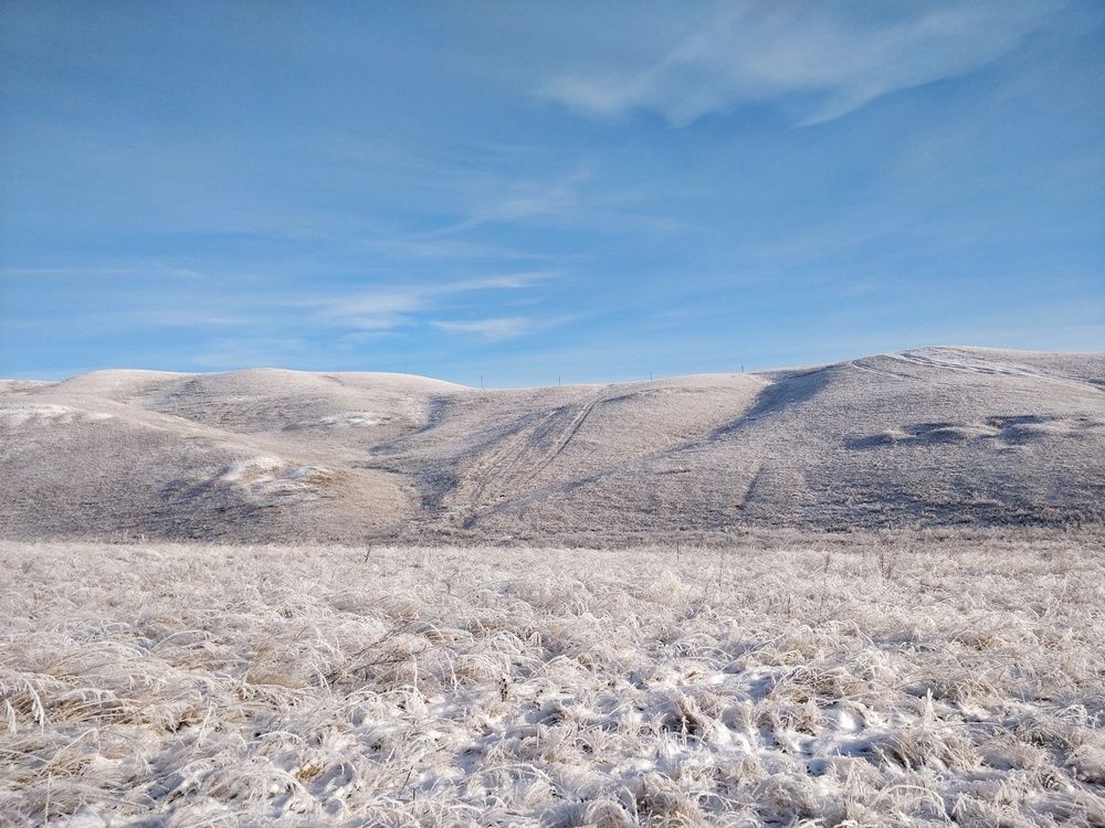 Photo #12482634