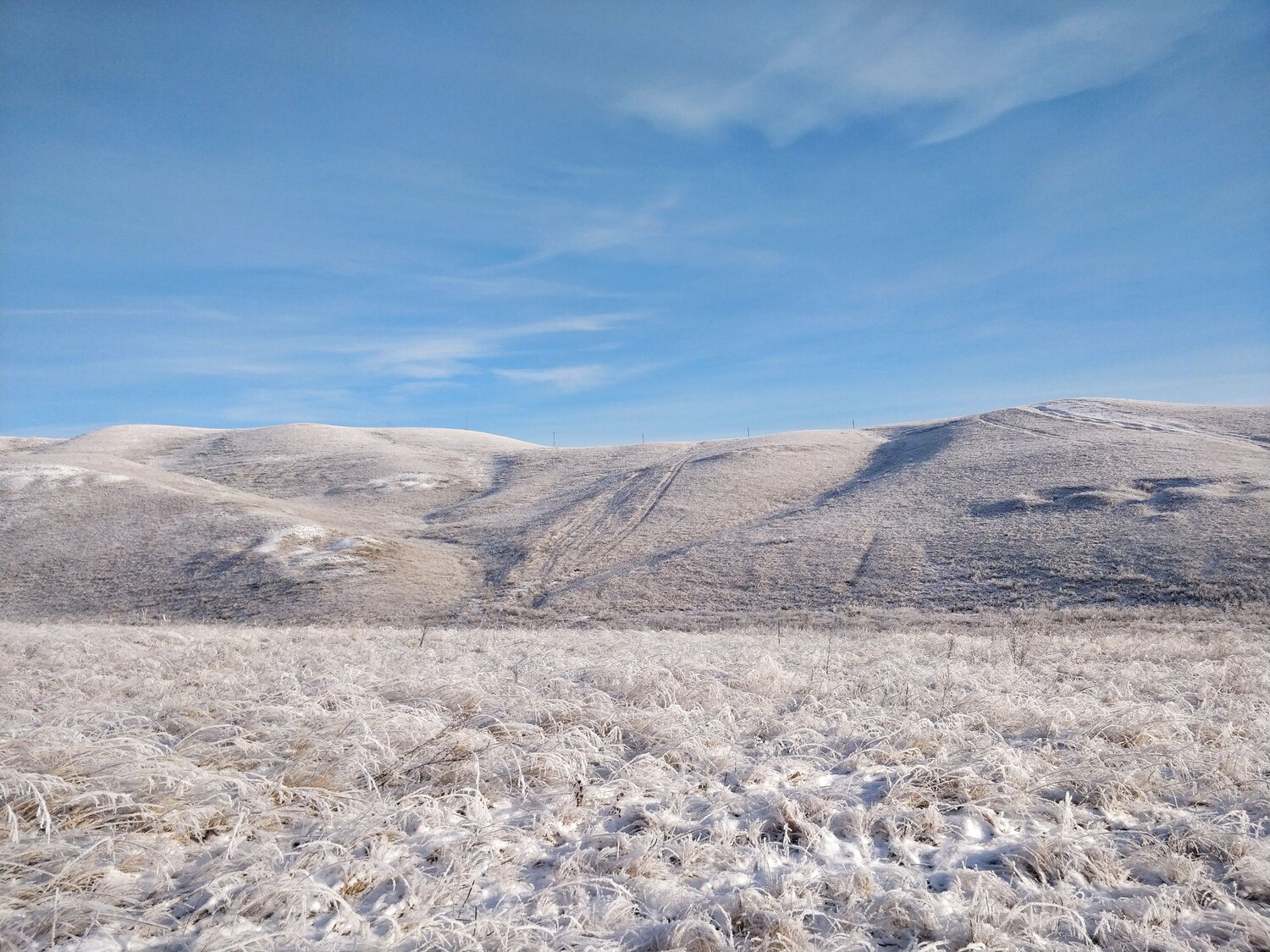 Photo #12482634