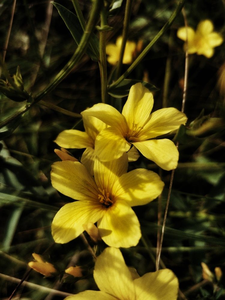 Photograph by Маннанова Ляйсан