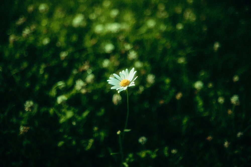 Photograph by Denis Naryshev