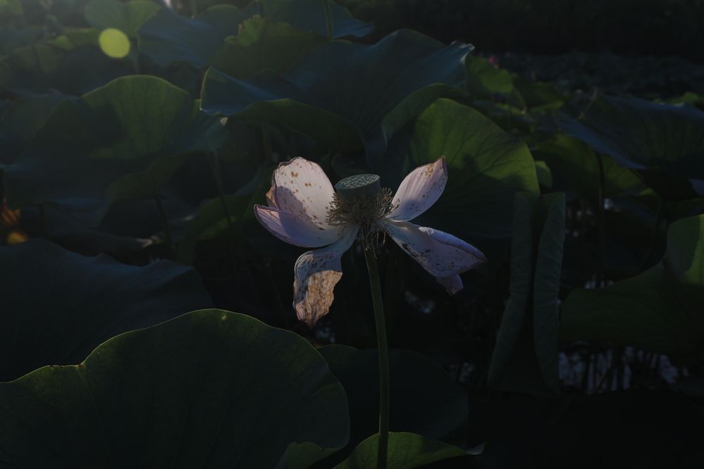 Photograph by Дарья Юсарева