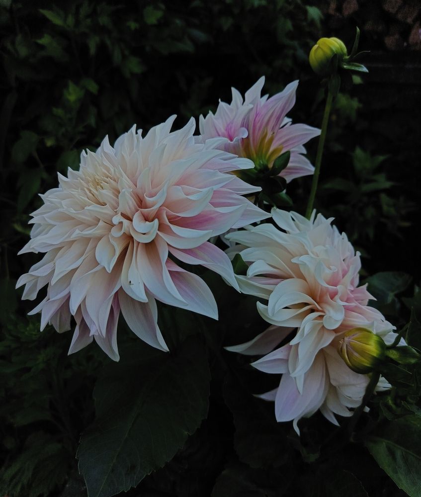 Photograph by Ольга Рубцова