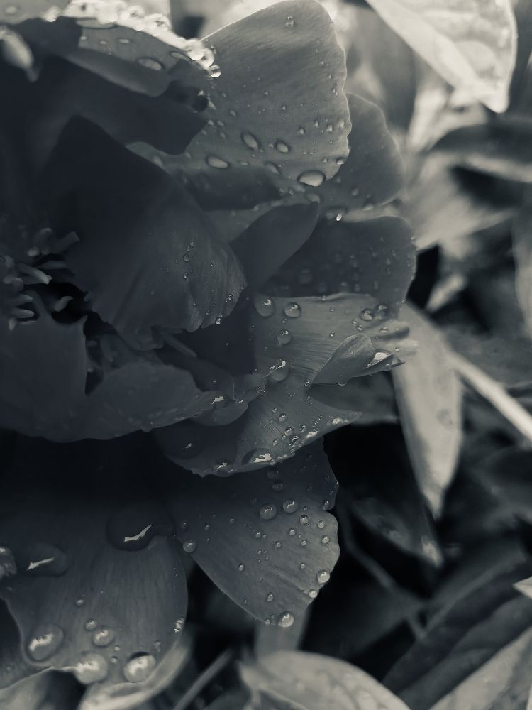 После дождя