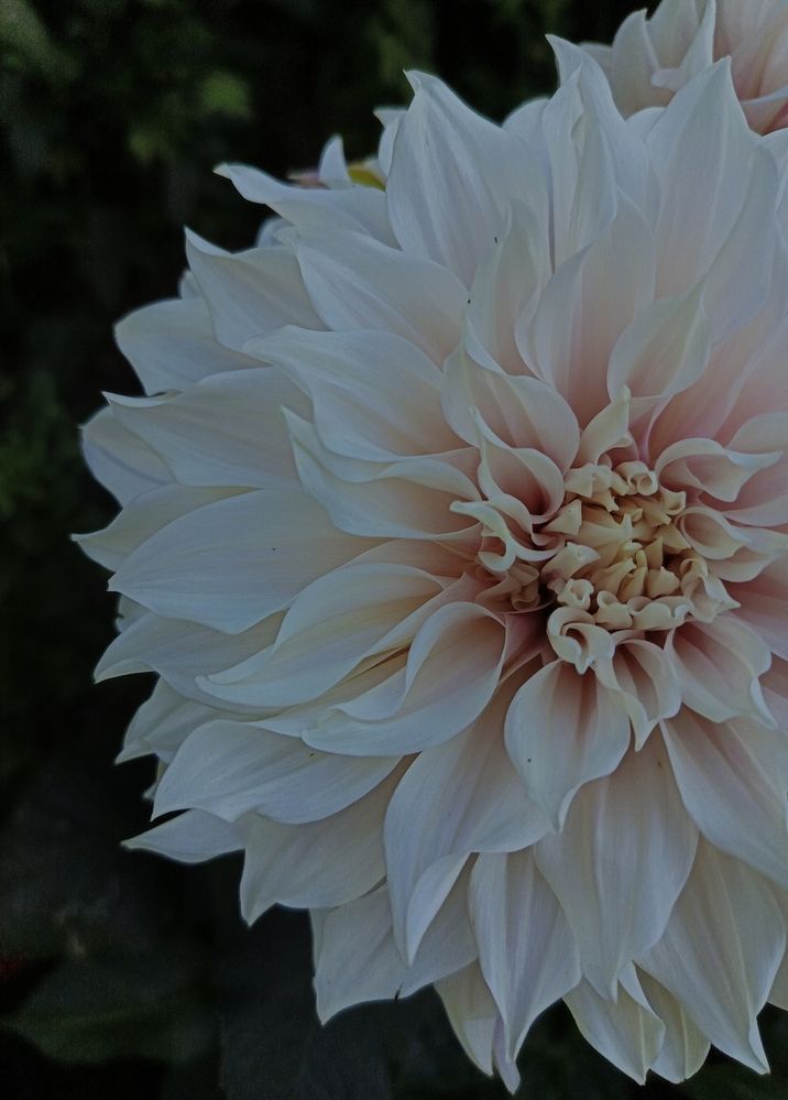 Photograph by Ольга Рубцова