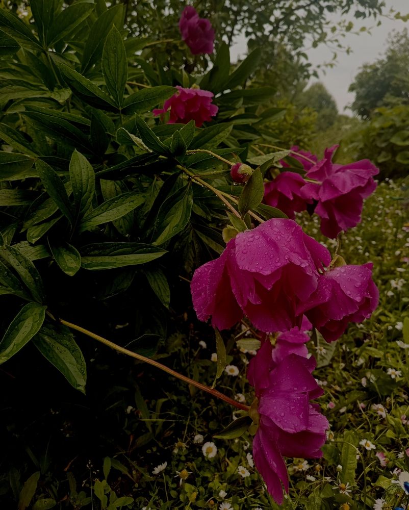 Photograph by Ольга Рубцова