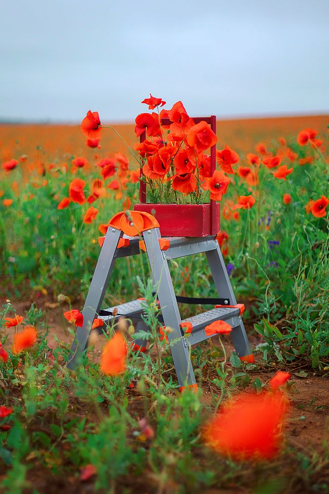 Photograph by Natalia Antipas