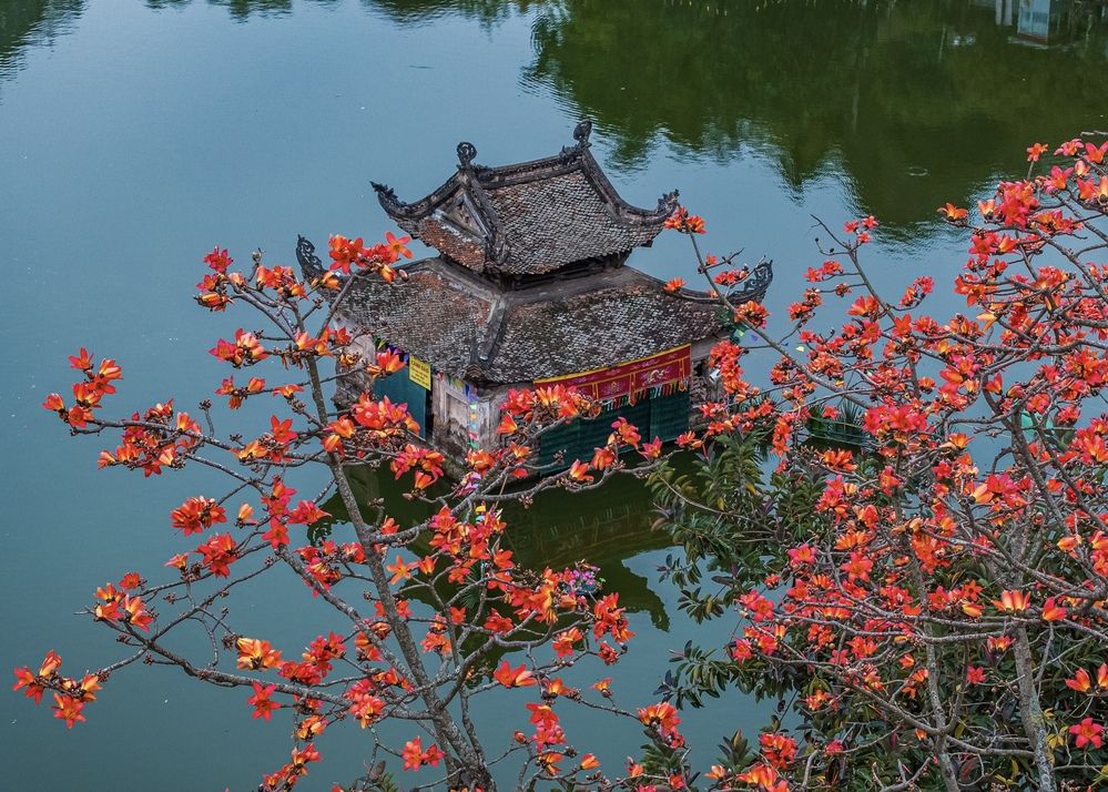 Photograph by Viet Nguyen Ho