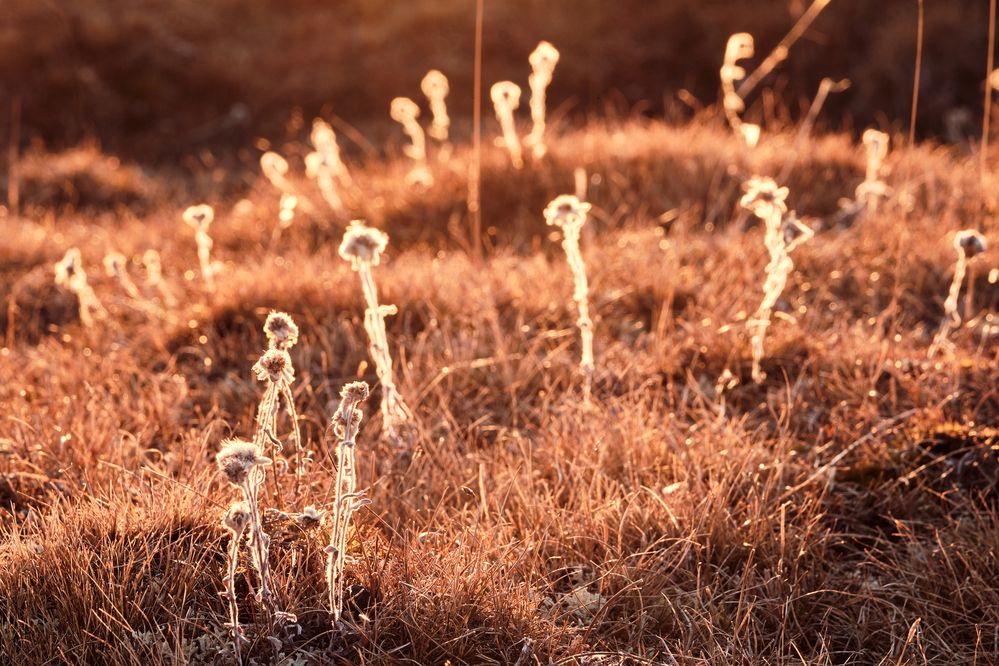 Фотография автора Владимир Эделев