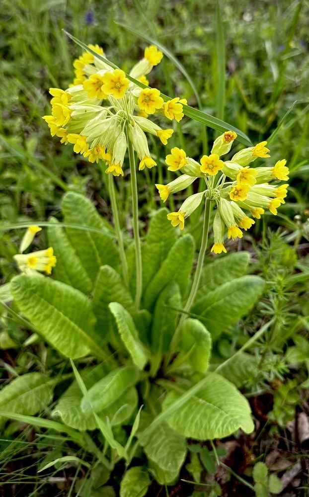 Это было в мае…