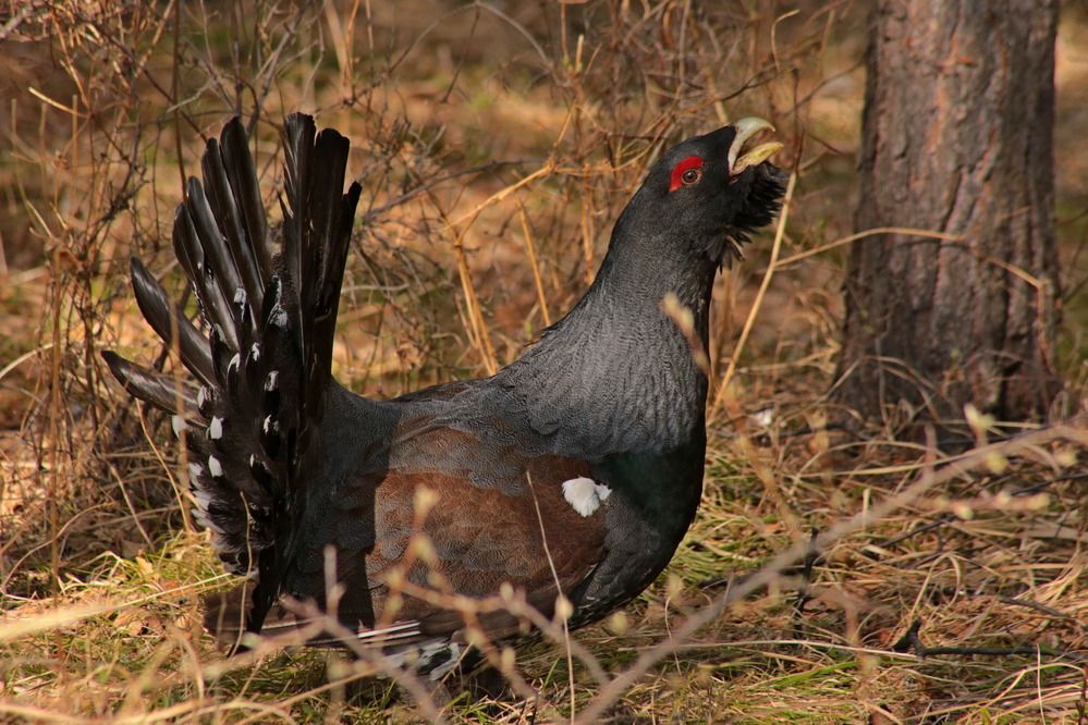 Photograph by Александр Кожевников