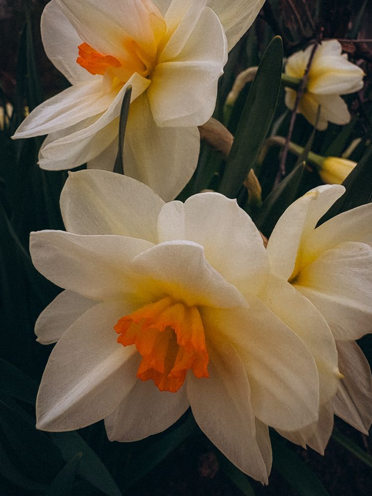 Photograph by Марина Харитонова