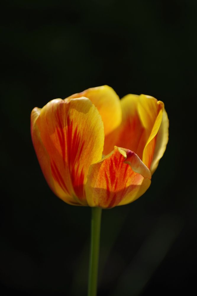 Photograph by Галина Григорьева