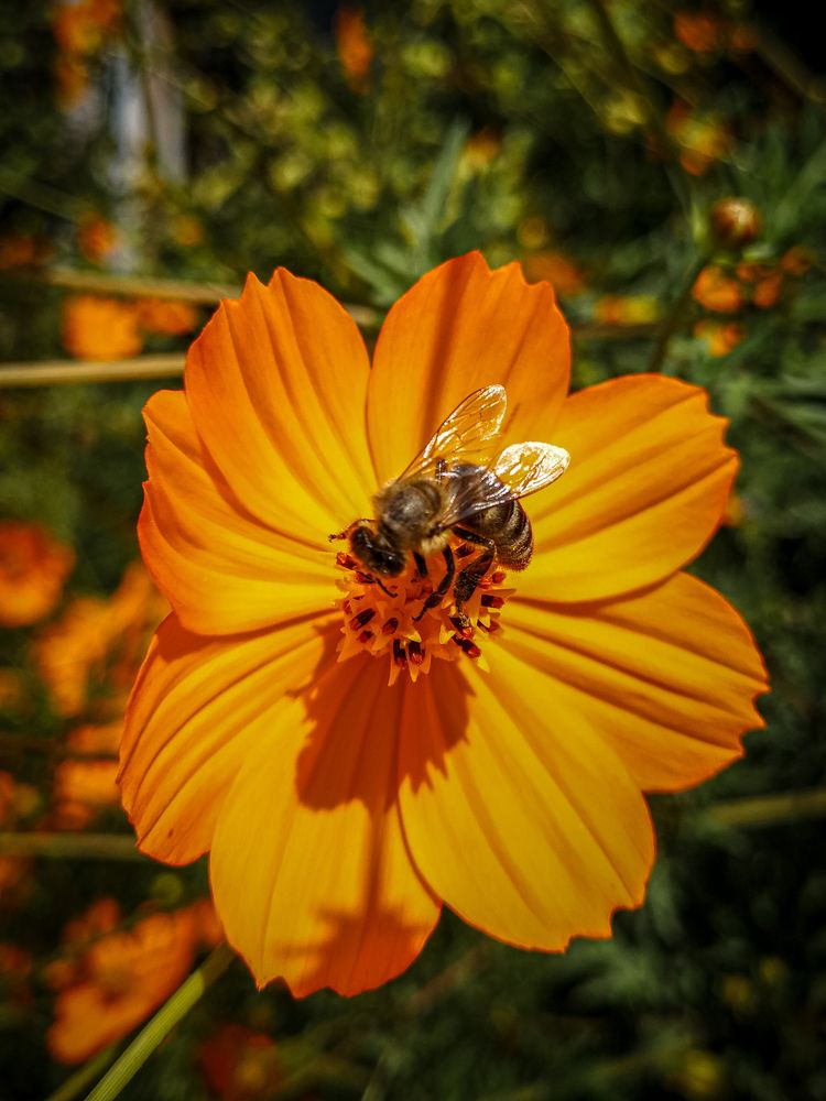 Photograph by Сергей Метлов