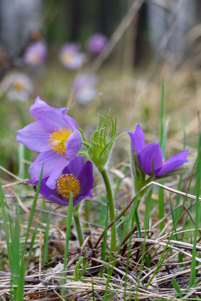 Photograph by Ирина Корнева