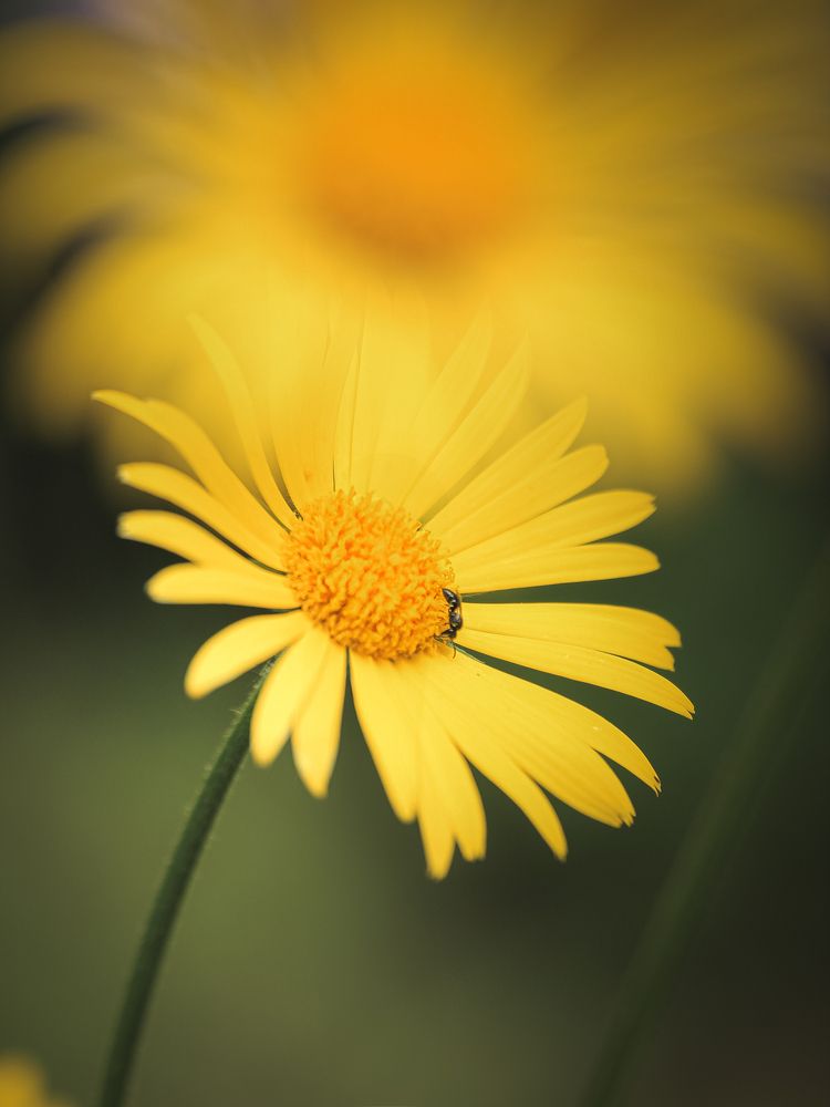 Photograph by Анна Тен