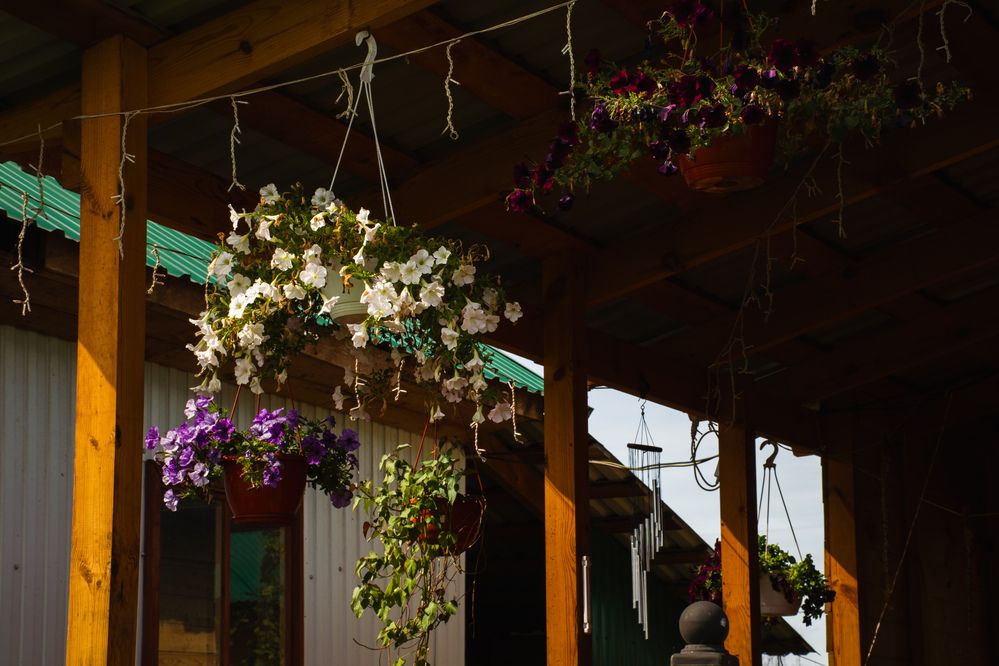 Photograph by Кристина Родина