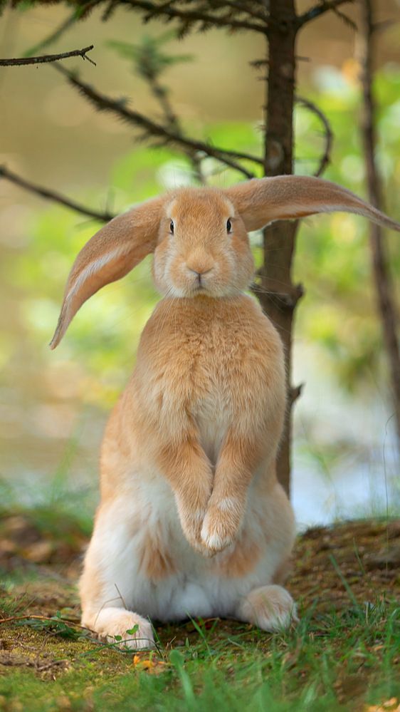 Photograph by Natalia Antipas