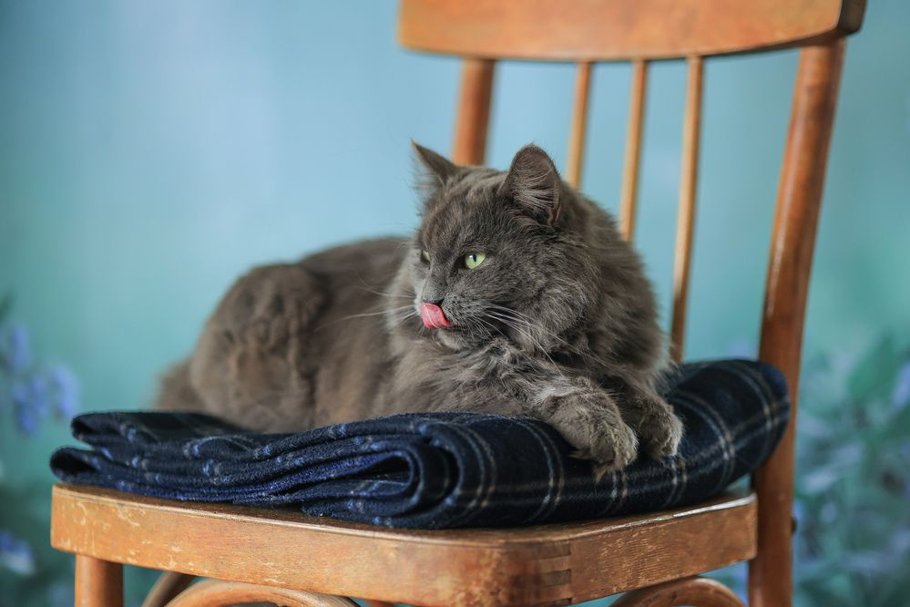 Photograph by Natalia Antipas