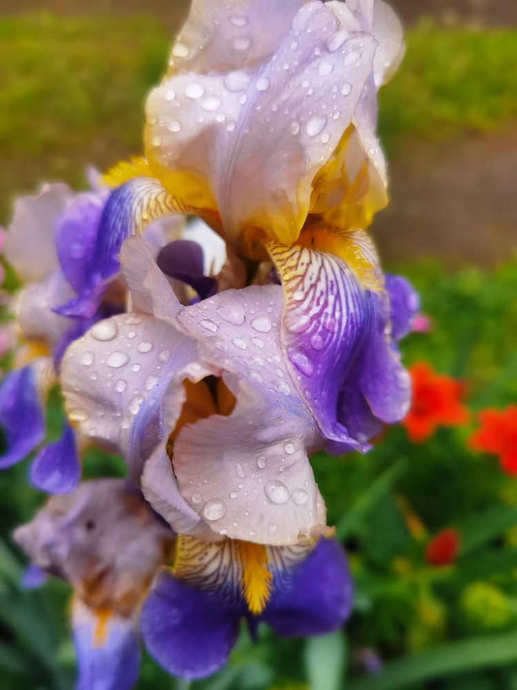 Photograph by Серафима Силина