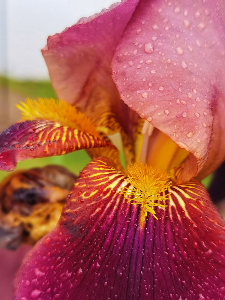 Photograph by Серафима Силина