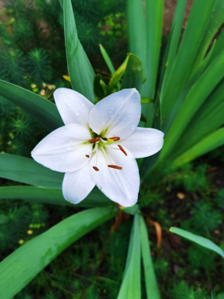 Photograph by Серафима Силина