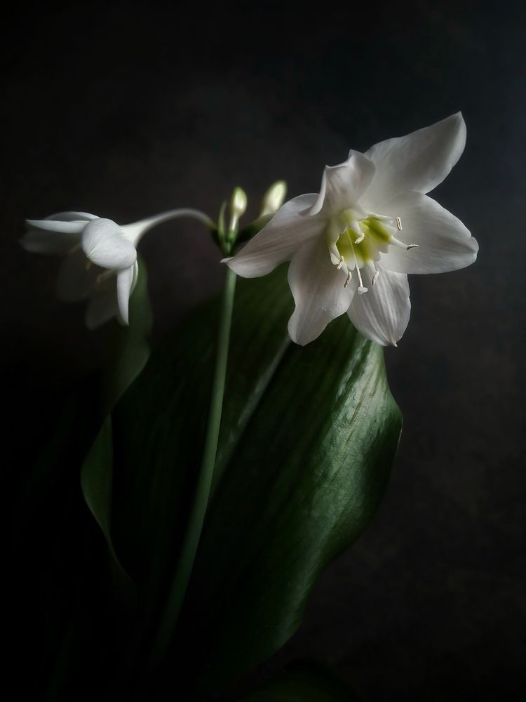 Photograph by Марина Мальцева