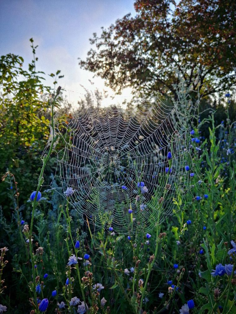 Photograph by Марина Мальцева