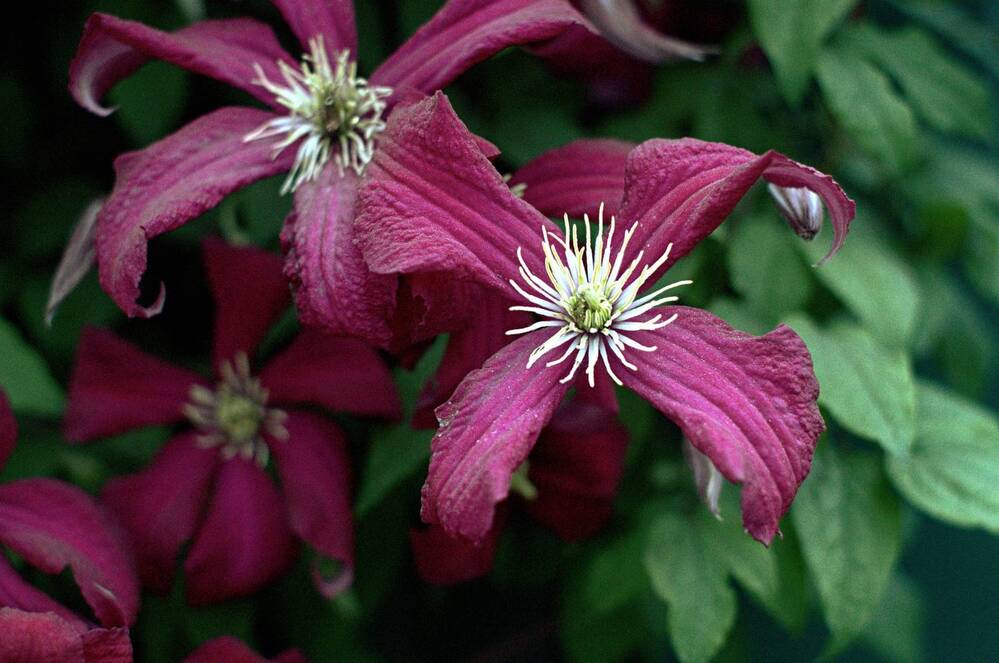 Photograph by Виктор Савельев