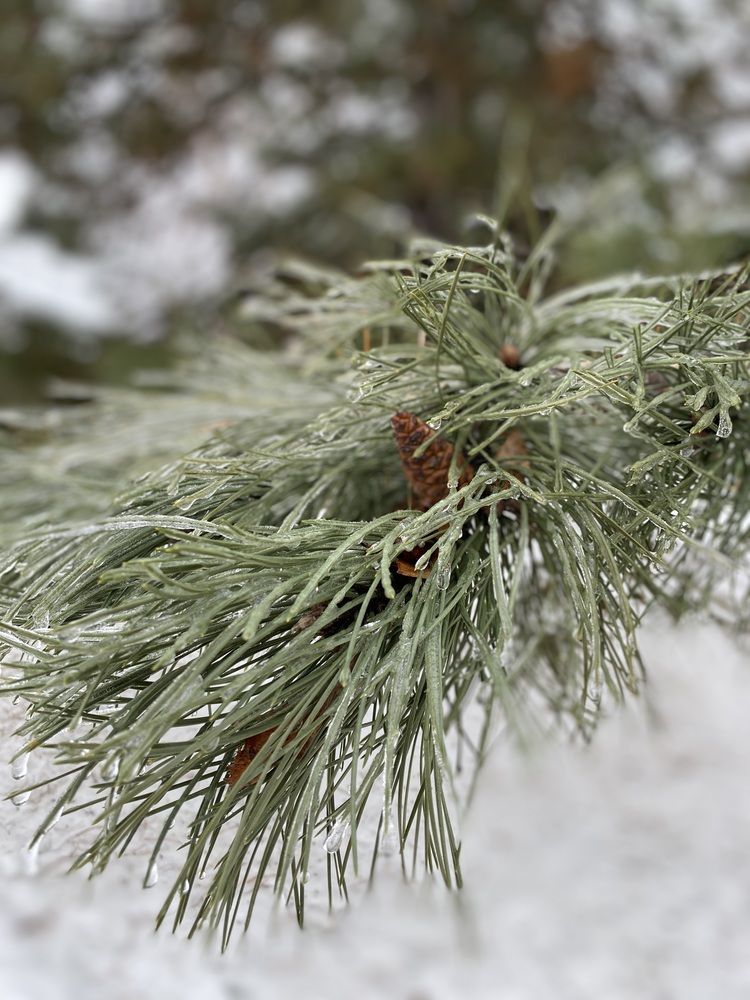 Фотография автора Виталий Иванов
