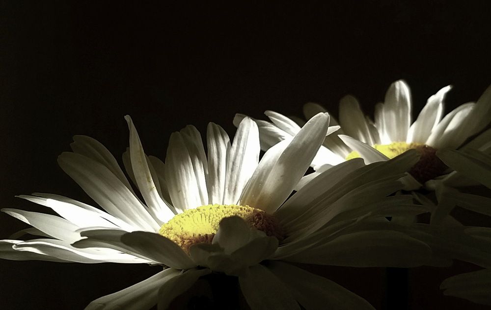 Photograph by Лада Денисова