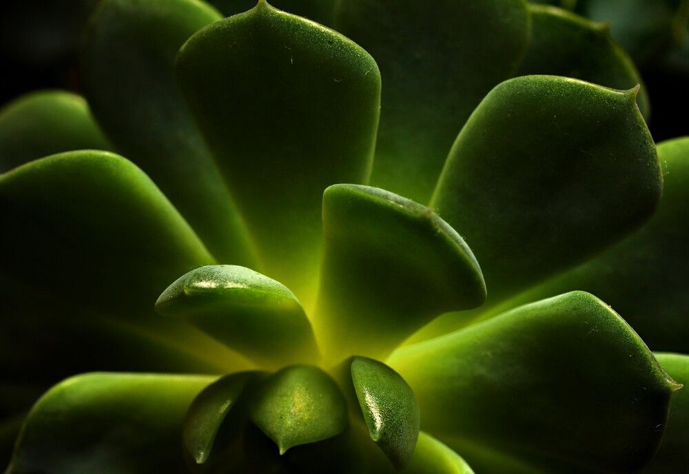 Photograph by Лада Денисова