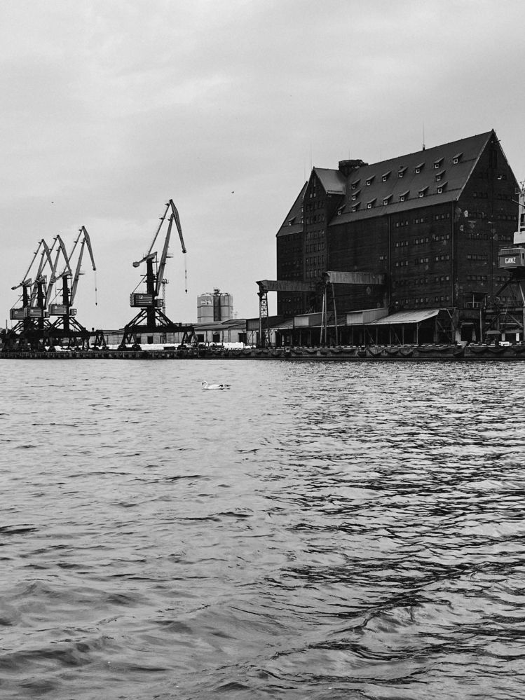 Photograph by Регина Габдулхаева