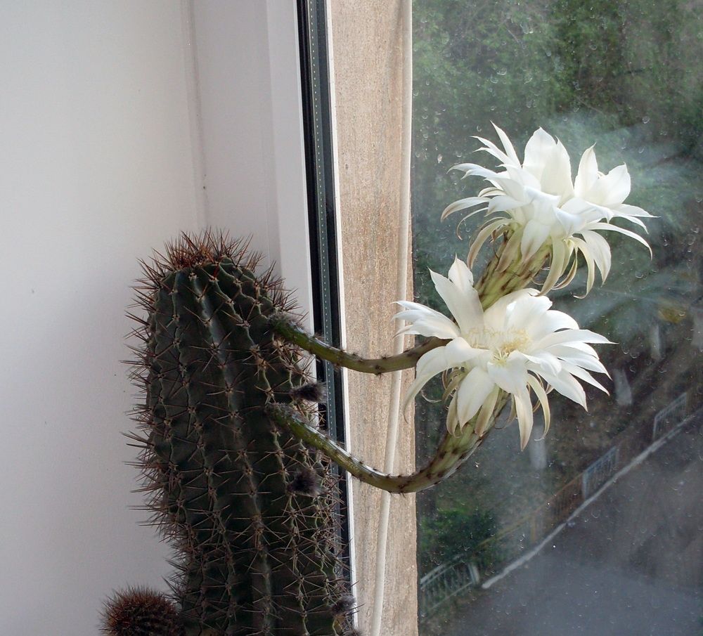 Photograph by Анатолий Пермяков