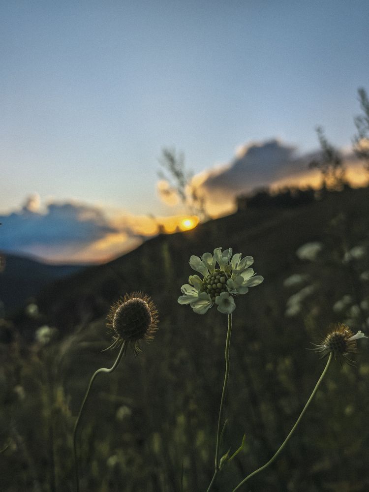 Фотография автора Екатерина Вакалова