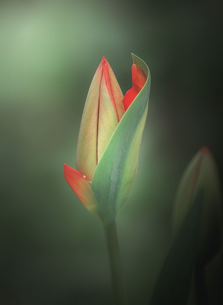 Photograph by Анна Тен