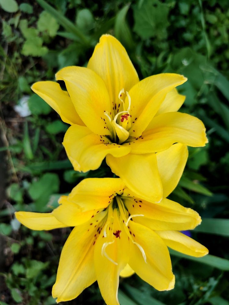 Photograph by Виталий Са