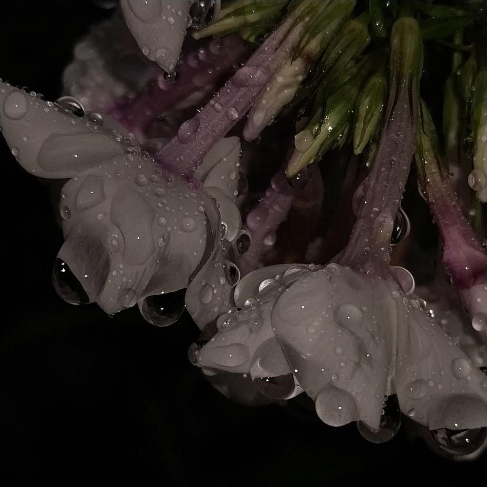 Photograph by Олеся Матвеева