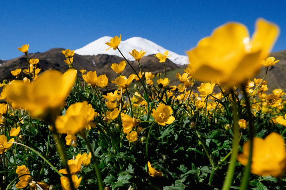 Photograph by Елена Шевченко