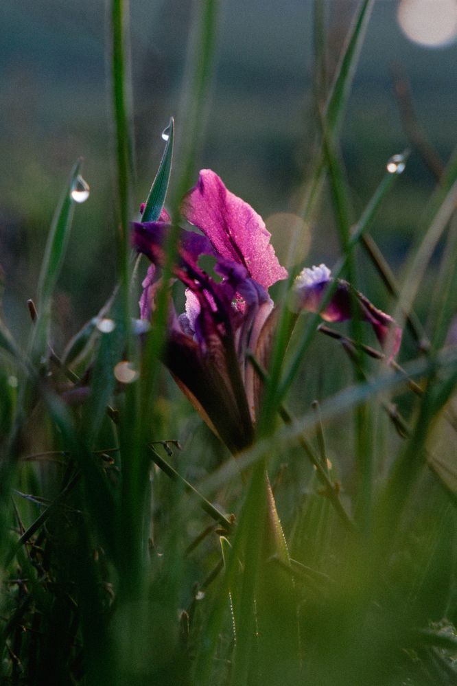 Photograph by Елена Шевченко