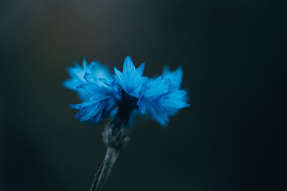 Photograph by Денис Белов