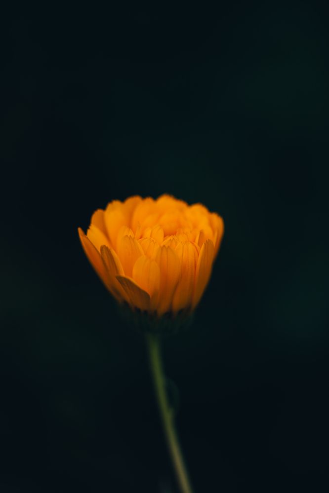 Photograph by Денис Белов