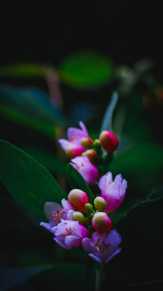 Фотография автора Медведева Елена