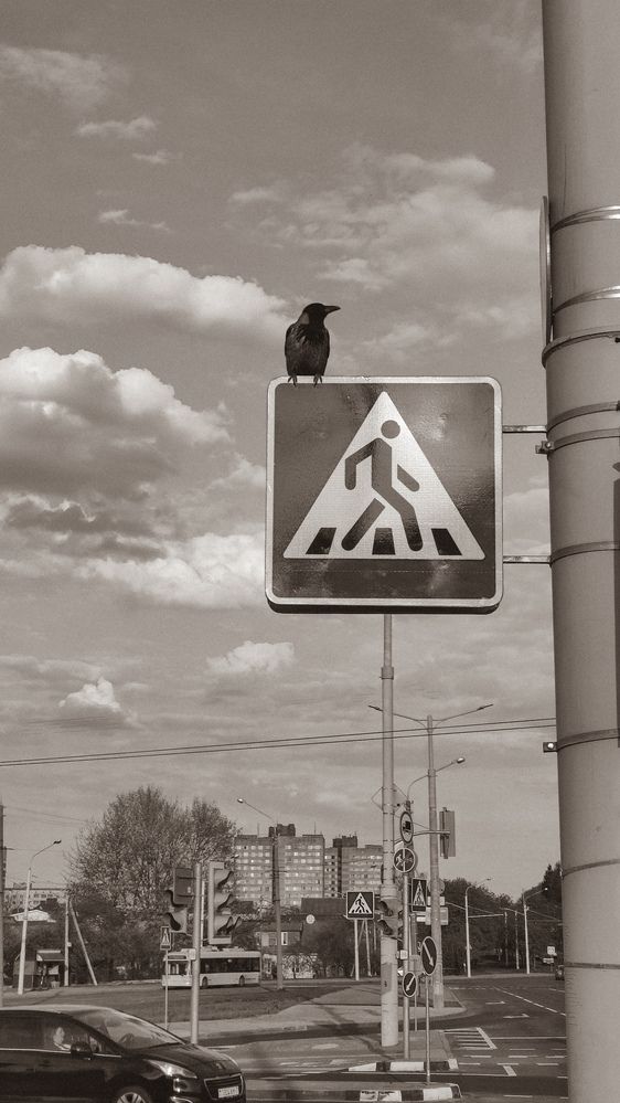 Photograph by Глушакова Татьяна Николаевна